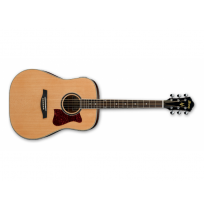 IBANEZ V74E OPN akustična kitara